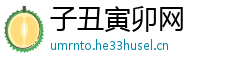 子丑寅卯网